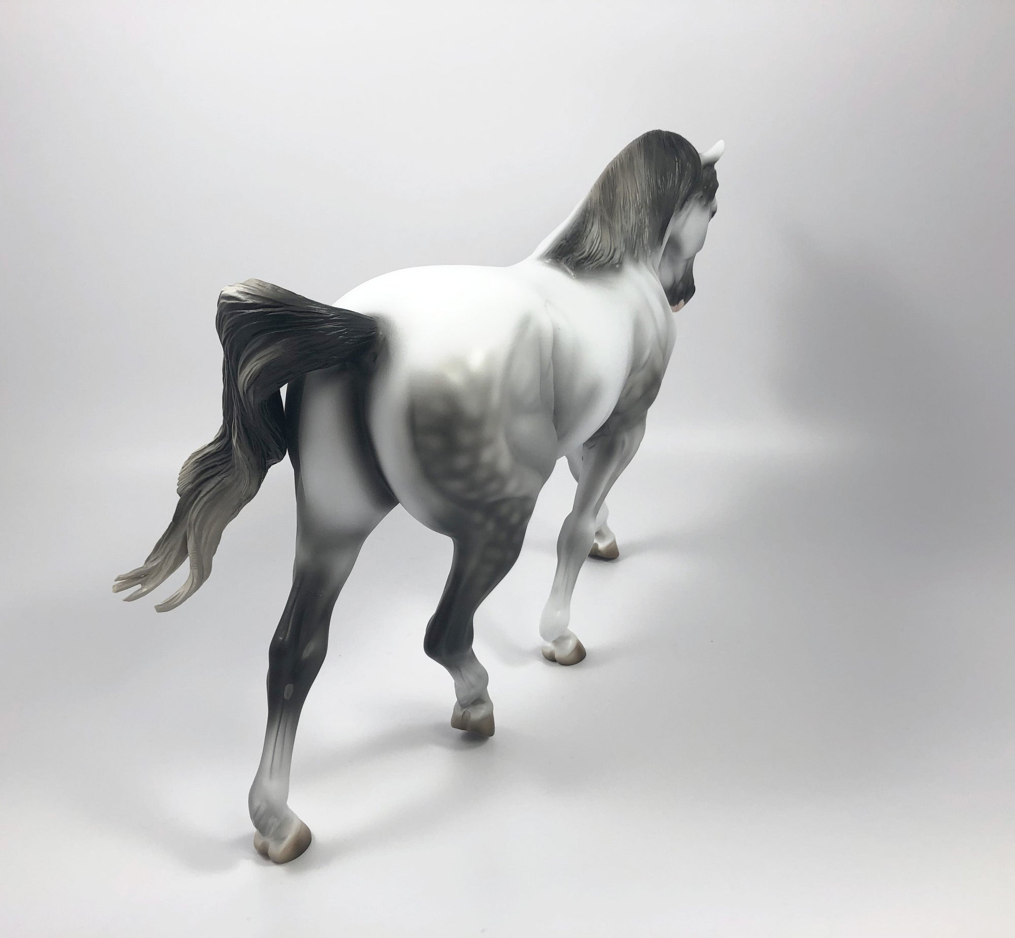 TARTAN-LE-15 DAPPLE GREY IRISH DRAFT MODEL HORSE SHCF 19