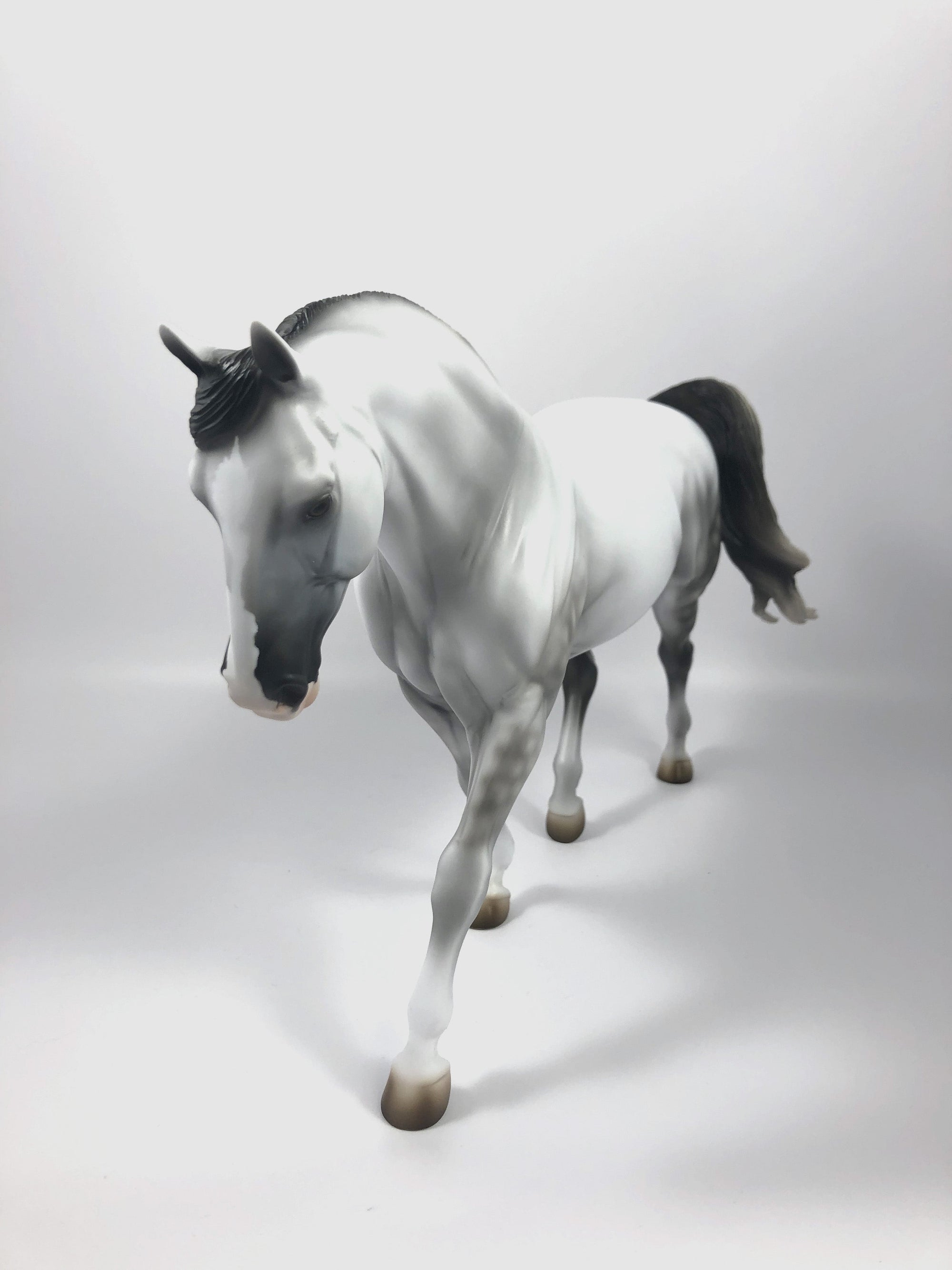 TARTAN-LE-15 DAPPLE GREY IRISH DRAFT MODEL HORSE SHCF 19