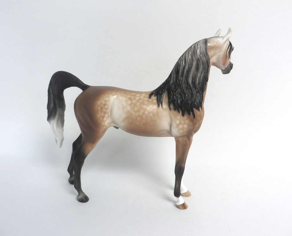 JERRY -- OOAK DAPPLED BAY GOIN GGREY ARABIAN BY SHERYL LEISURE 3-29-15