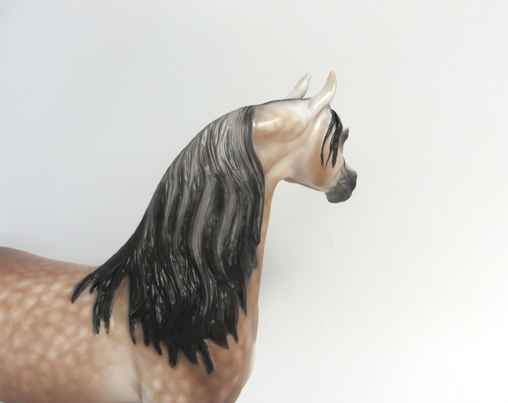 JERRY -- OOAK DAPPLED BAY GOIN GGREY ARABIAN BY SHERYL LEISURE 3-29-15