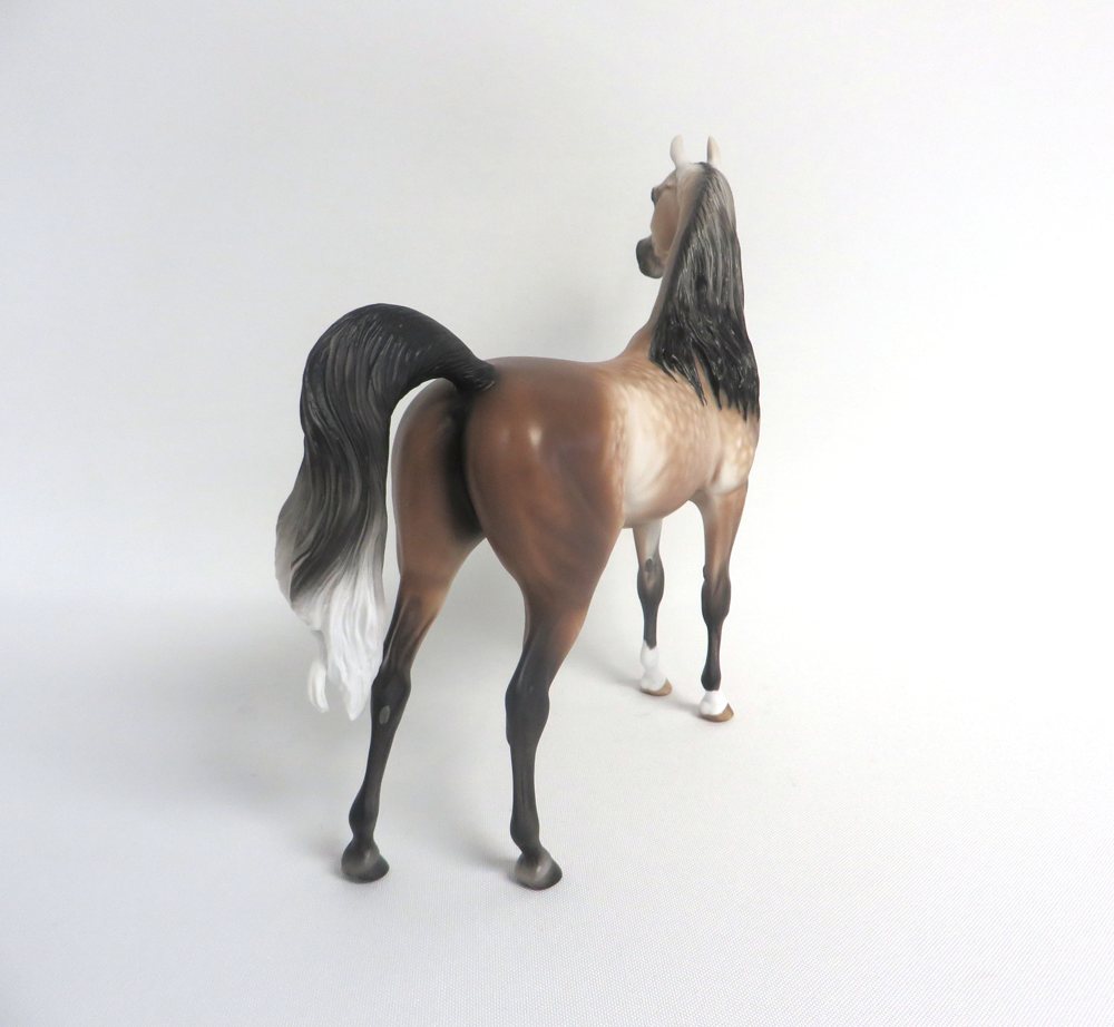 JERRY -- OOAK DAPPLED BAY GOIN GGREY ARABIAN BY SHERYL LEISURE 3-29-15