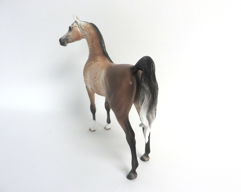 JERRY -- OOAK DAPPLED BAY GOIN GGREY ARABIAN BY SHERYL LEISURE 3-29-15