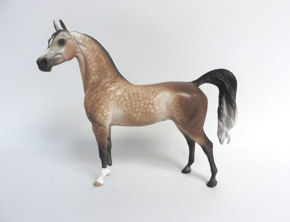 JERRY -- OOAK DAPPLED BAY GOIN GGREY ARABIAN BY SHERYL LEISURE 3-29-15
