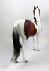 AIREDALIE-OOAK ETCHED DAPPLE PINTO MORGAN MODEL HORSE 8/26/19
