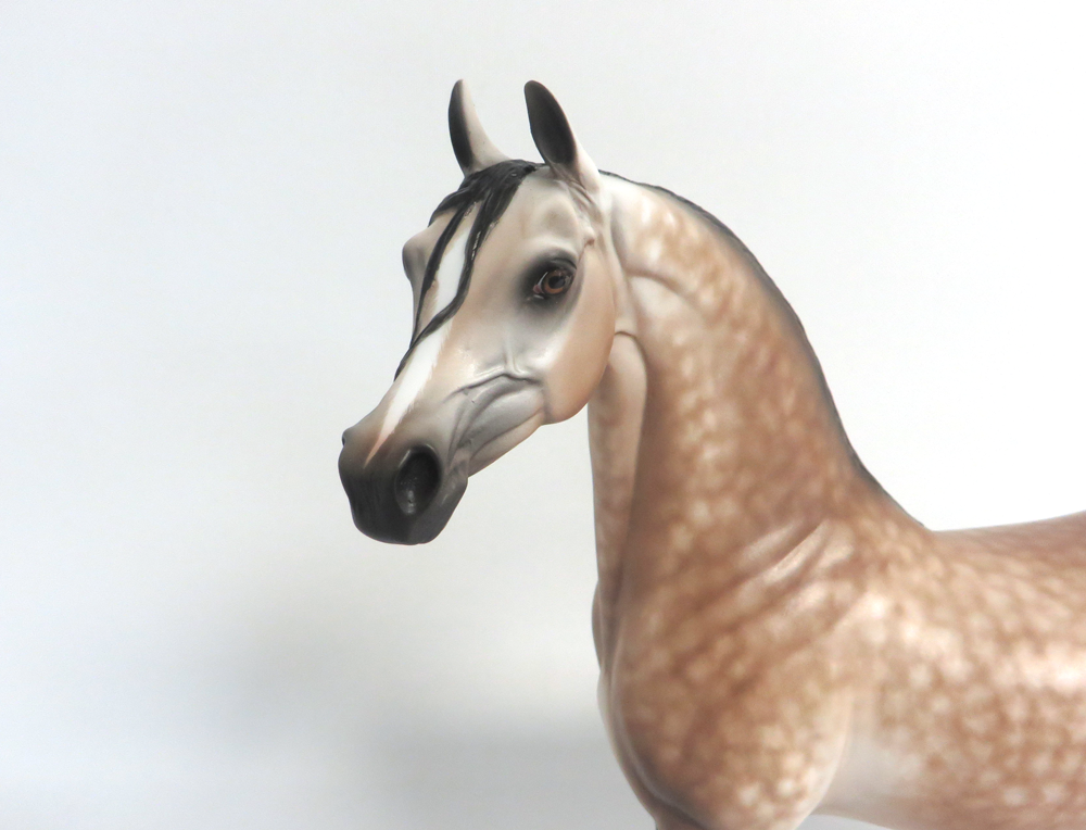 JERRY -- OOAK DAPPLED BAY GOIN GGREY ARABIAN BY SHERYL LEISURE 3-29-15