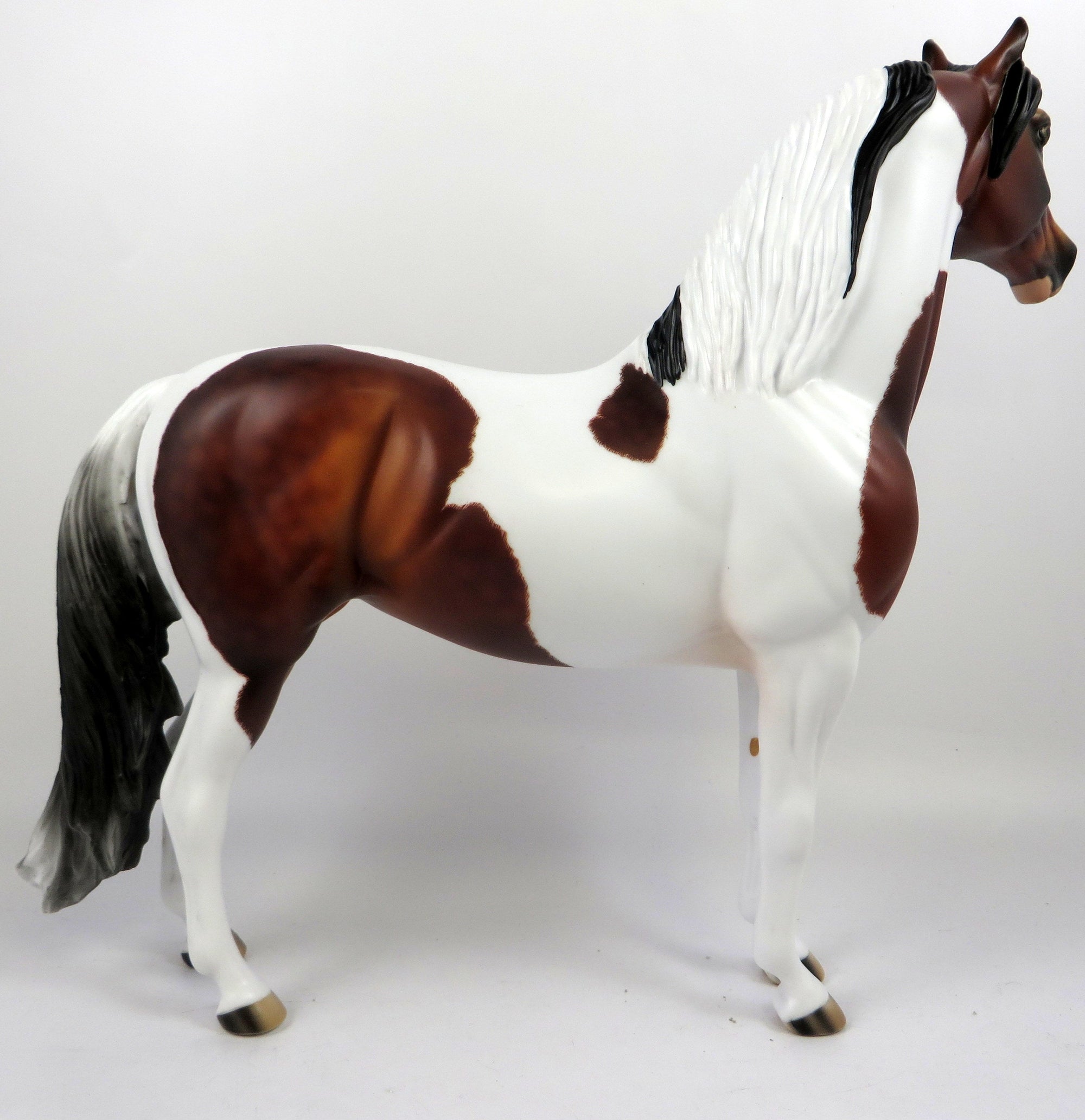 AIREDALIE-OOAK ETCHED DAPPLE PINTO MORGAN MODEL HORSE 8/26/19