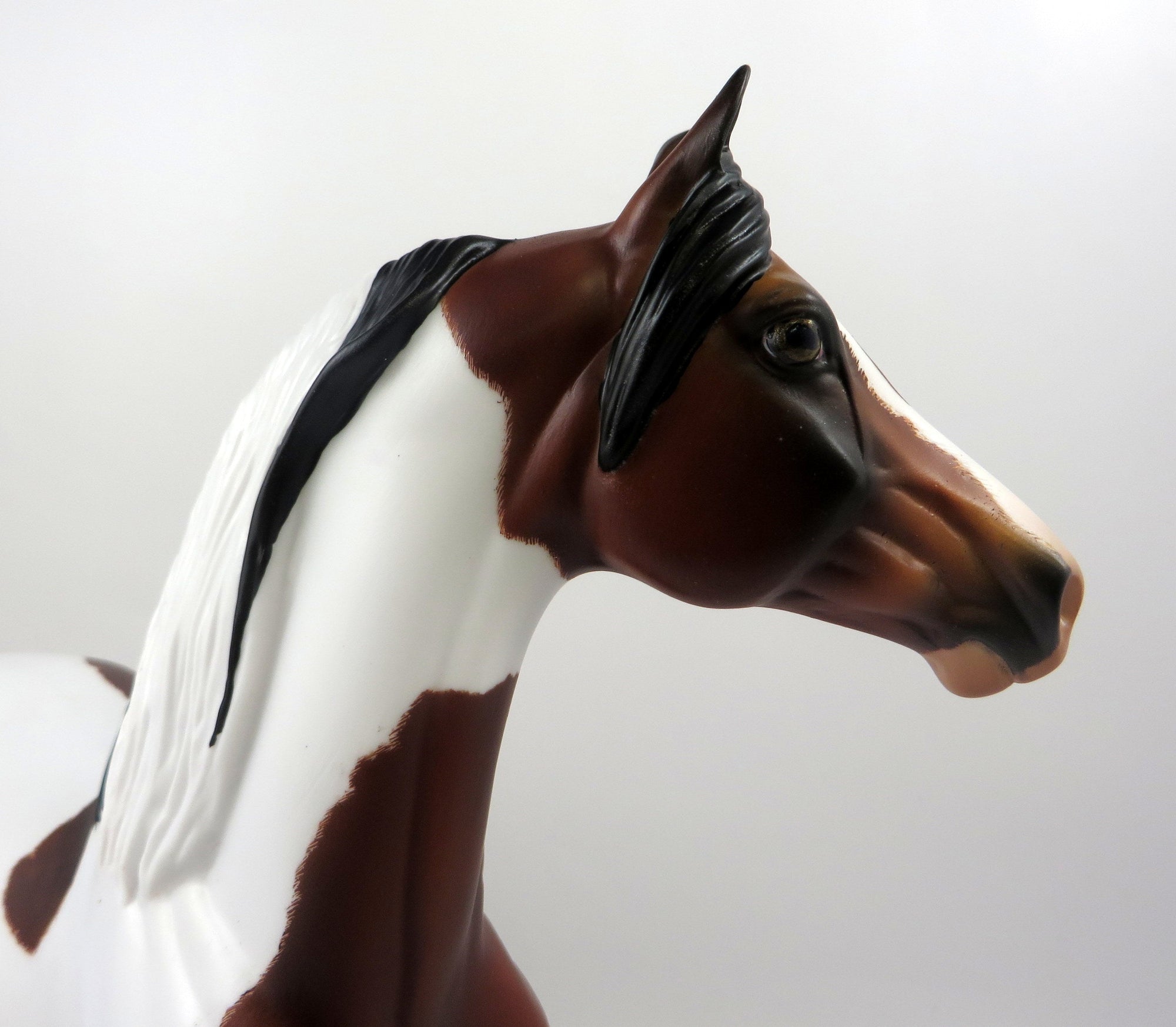 AIREDALIE-OOAK ETCHED DAPPLE PINTO MORGAN MODEL HORSE 8/26/19