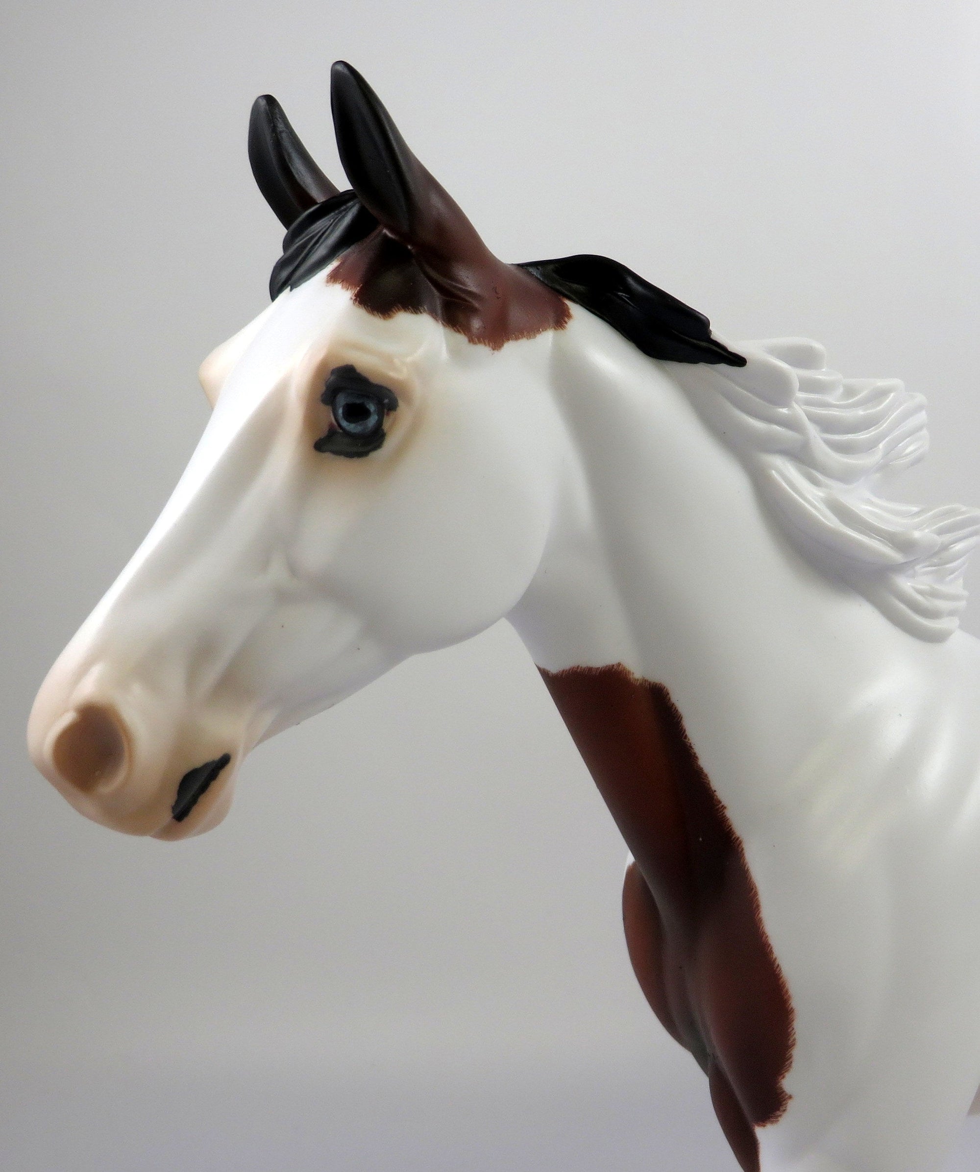 MUCBIOPOLLO-OOAK ETCHED DAPPLE BAY PALOUSE MODEL HORSE 8/26/19