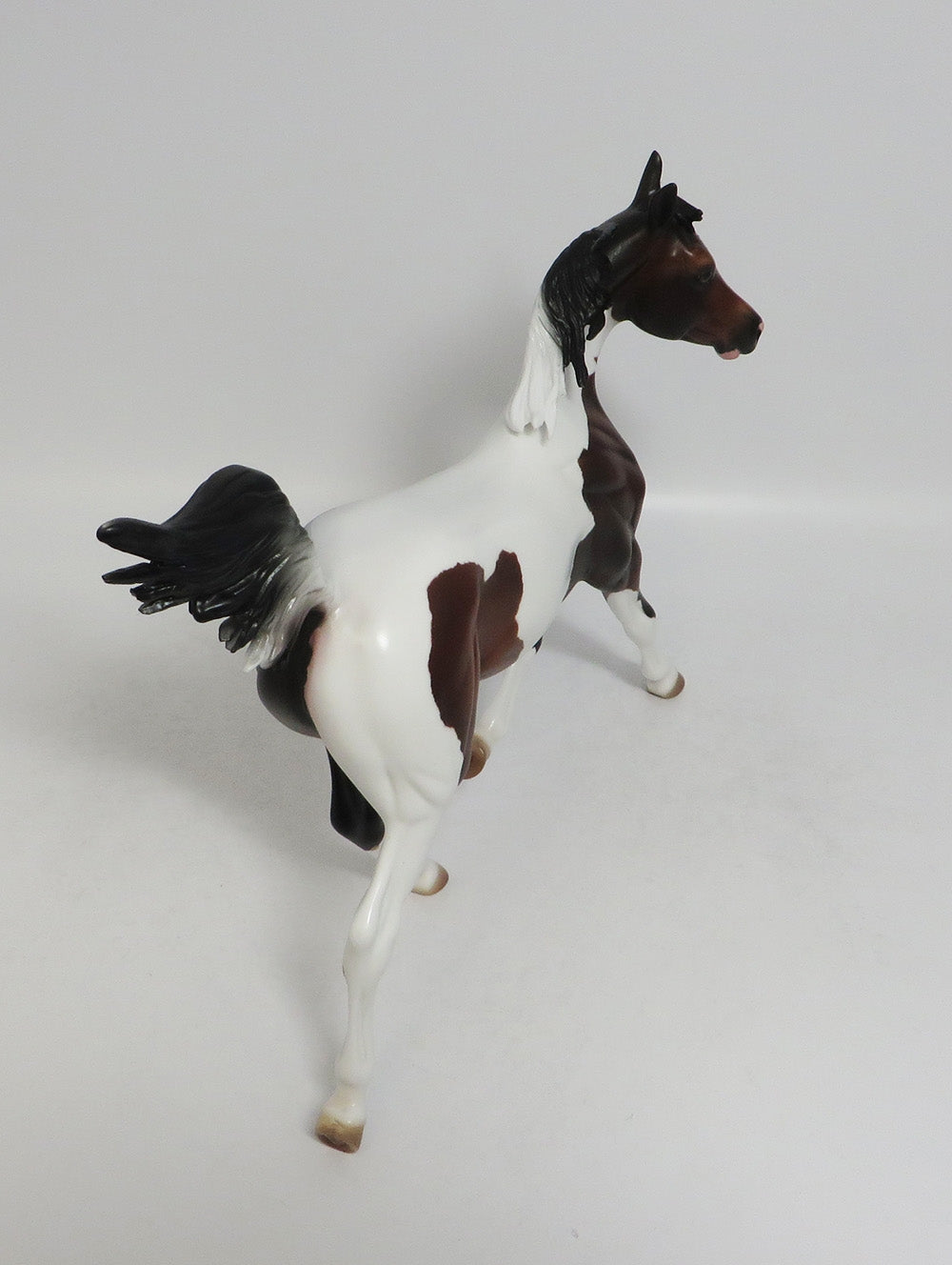 BRIO-OOAK BAY PINTO YEARLING MODEL HORSE 7/27/18