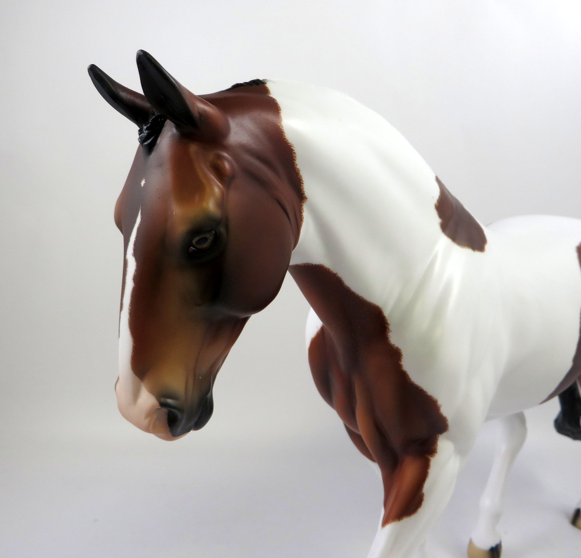 SHIH TZU-OOAK ETCHED DAPPLE BAY IRISH DRAFT MODEL HORSE 8/26/19