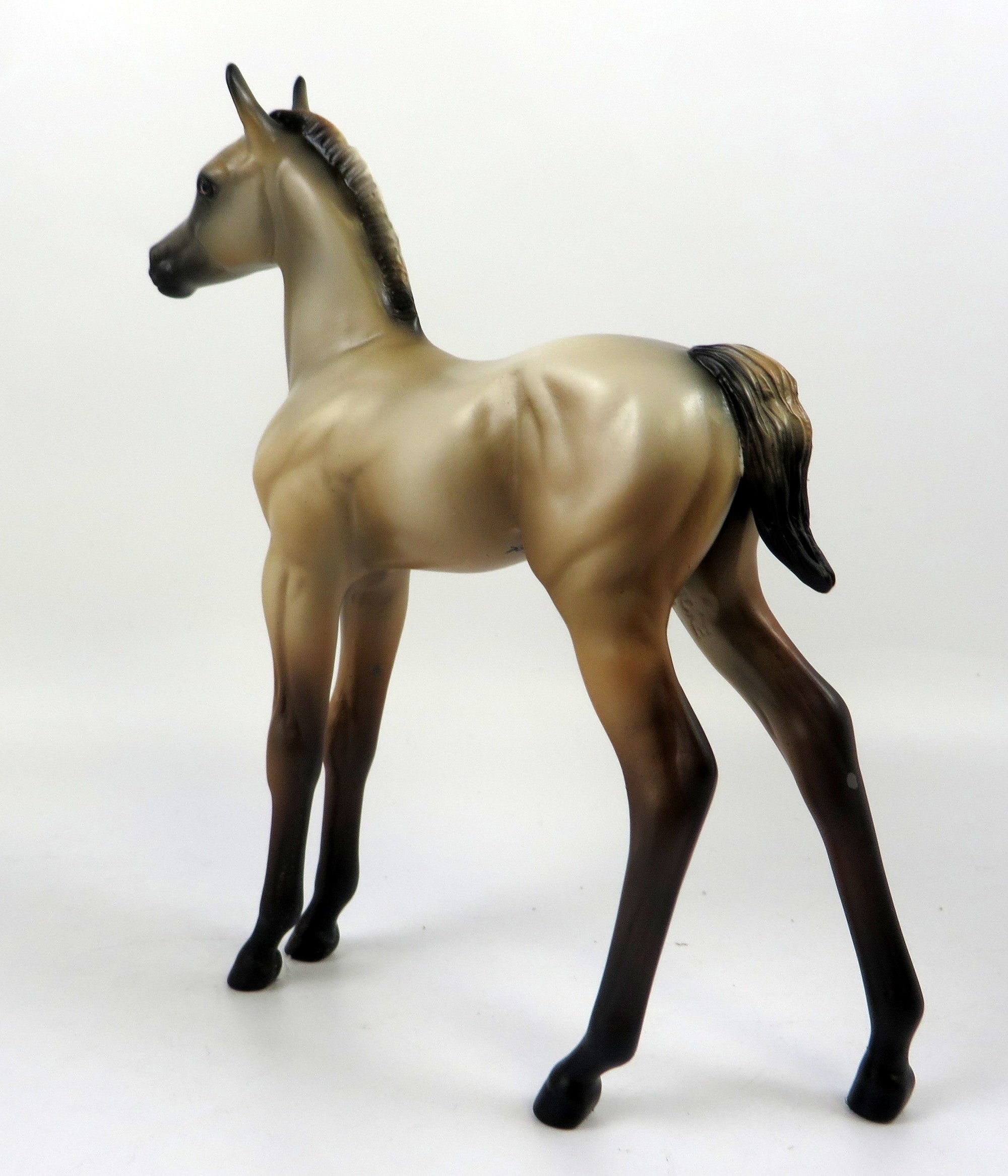 BUTTERMILK PANCAKES-OOAK BUCKSKIN FOAL MODEL HORSE 8/22/19