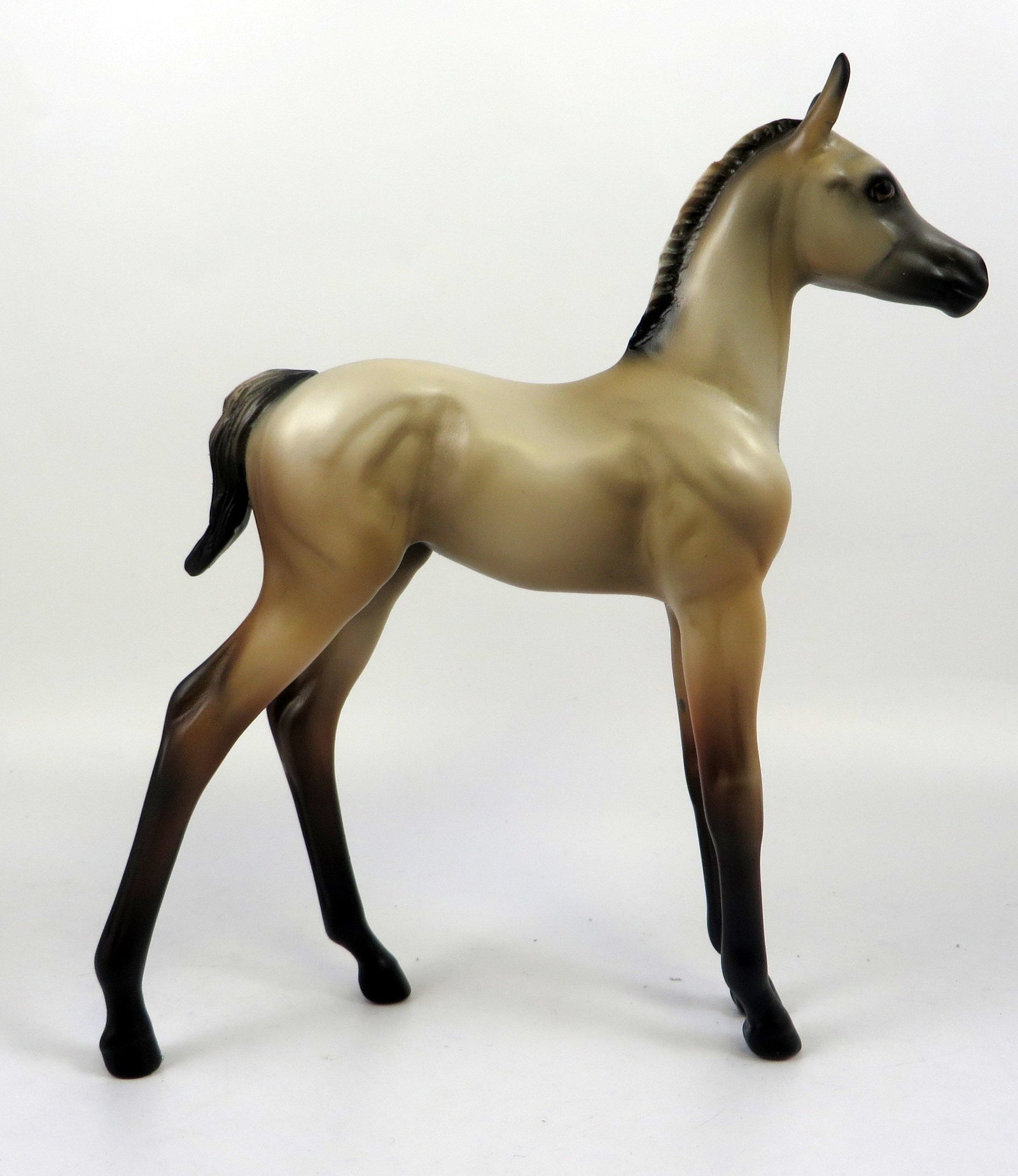 BUTTERMILK PANCAKES-OOAK BUCKSKIN FOAL MODEL HORSE 8/22/19