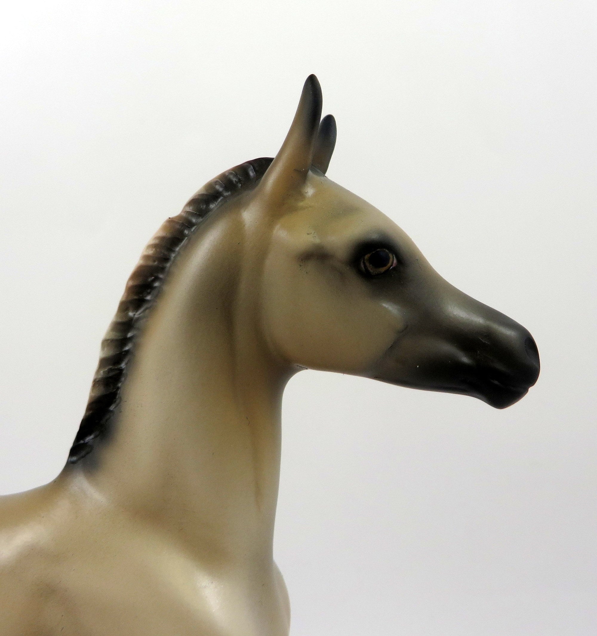 BUTTERMILK PANCAKES-OOAK BUCKSKIN FOAL MODEL HORSE 8/22/19