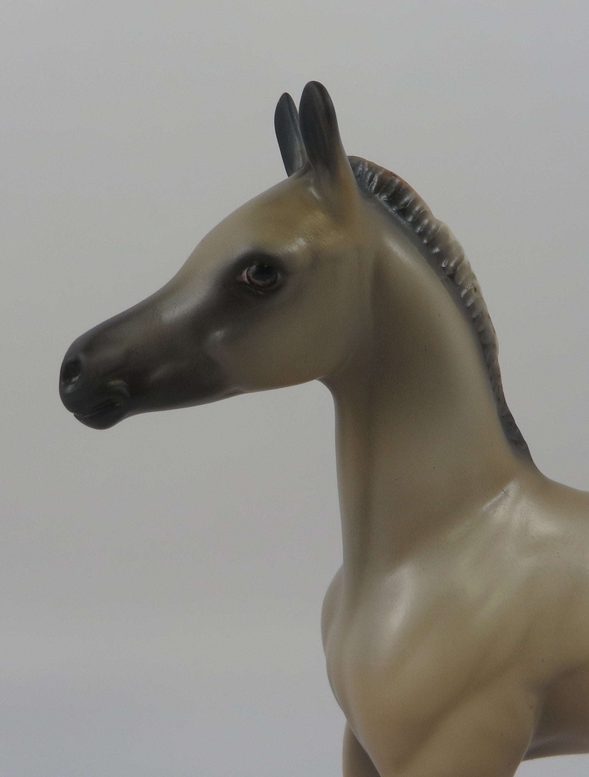 BUTTERMILK PANCAKES-OOAK BUCKSKIN FOAL MODEL HORSE 8/22/19