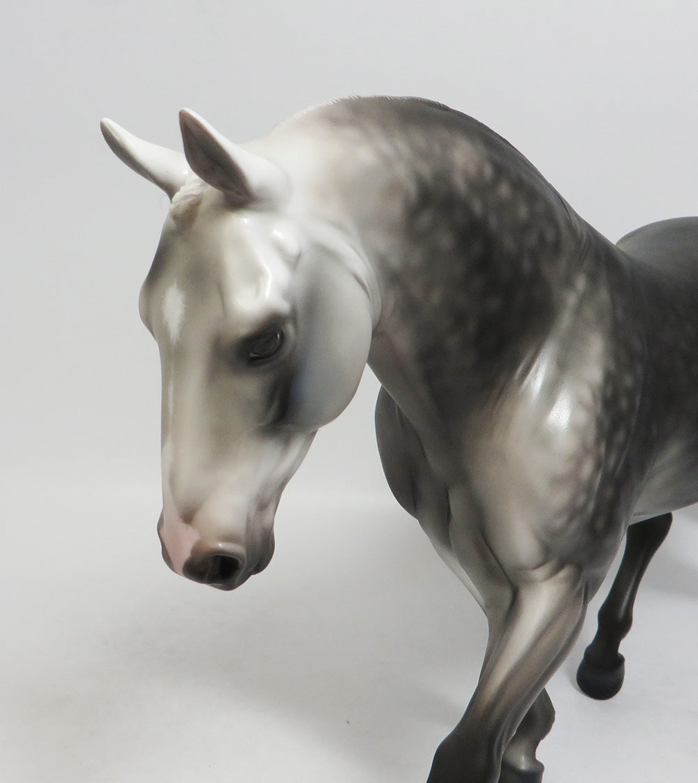 NIAMH-OOAK DAPPLE GREY IRISH DRAFT MODEL HORSE 7/27/18