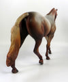 MALTIPOO -OOAK RED ROAN PONY MODEL HORSE BY MISSY FOX 8/26/19