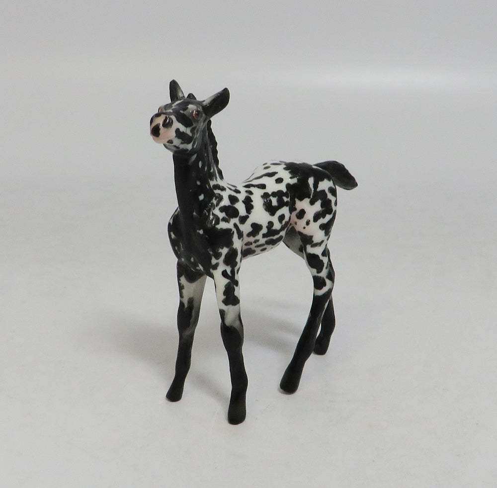 DOT-OOAK APPALOOSA CHIP FOAL BY AUDREY DIXON LHS 2018