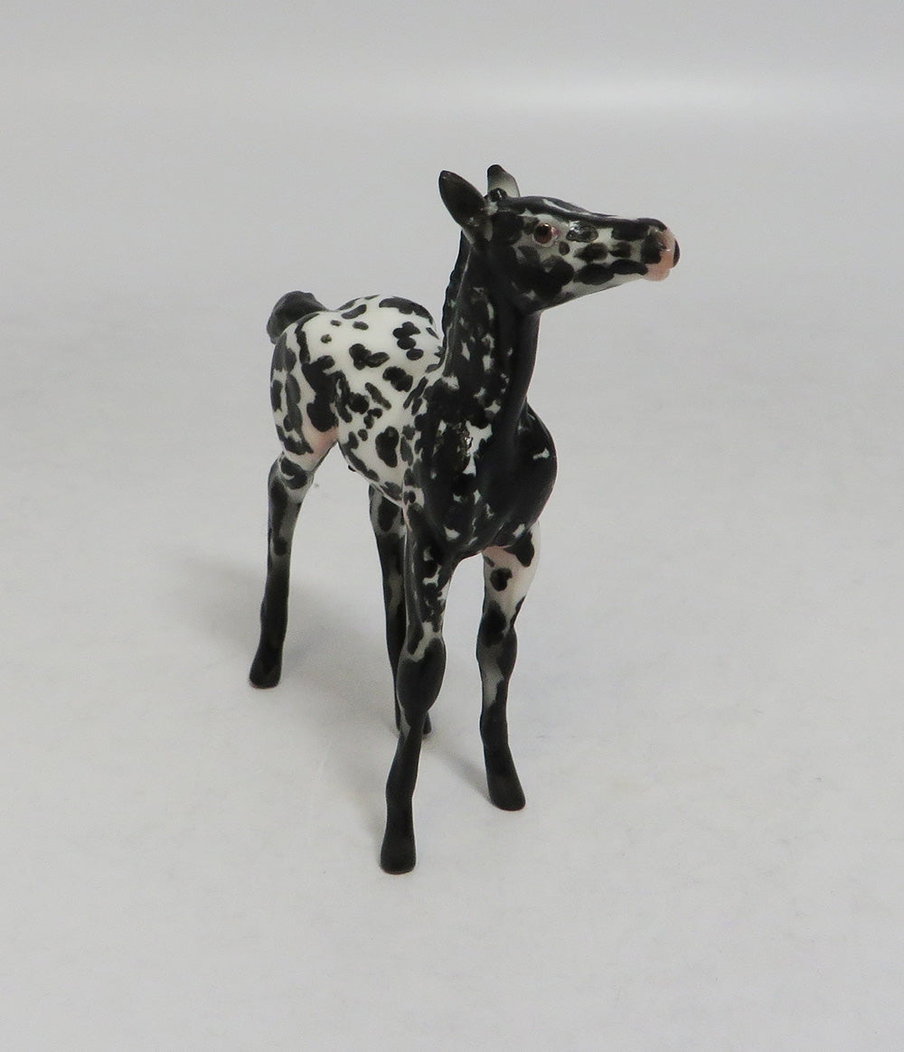DOT-OOAK APPALOOSA CHIP FOAL BY AUDREY DIXON LHS 2018