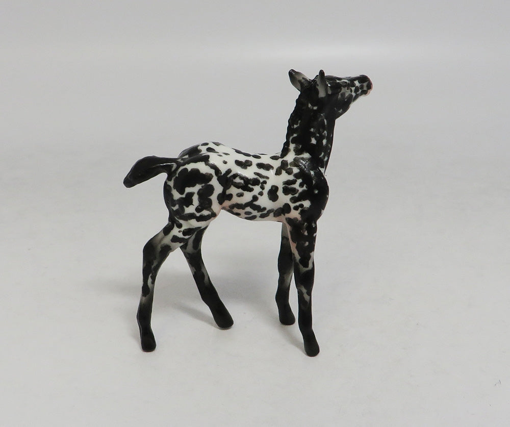 DOT-OOAK APPALOOSA CHIP FOAL BY AUDREY DIXON LHS 2018