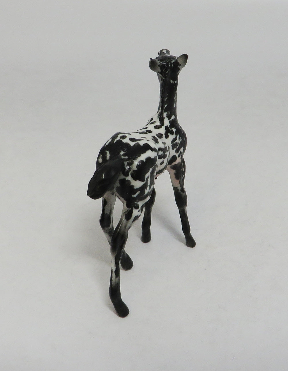 DOT-OOAK APPALOOSA CHIP FOAL BY AUDREY DIXON LHS 2018