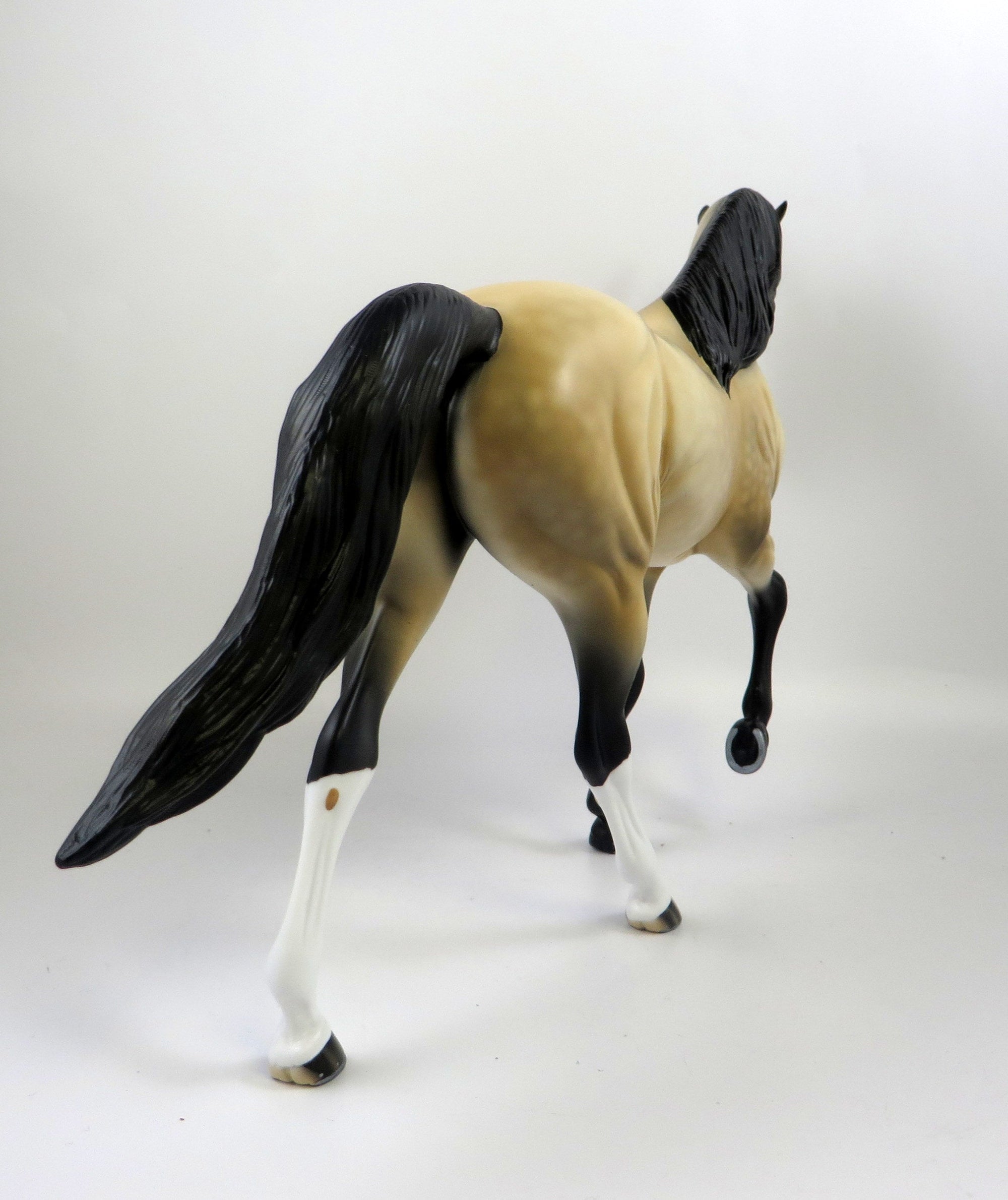 IRISH SETTER-OOAK DAPPLE BUCKSKIN TENNESSEE WALKER MODEL HORSE BY AUDREY DIXON 8/27/19