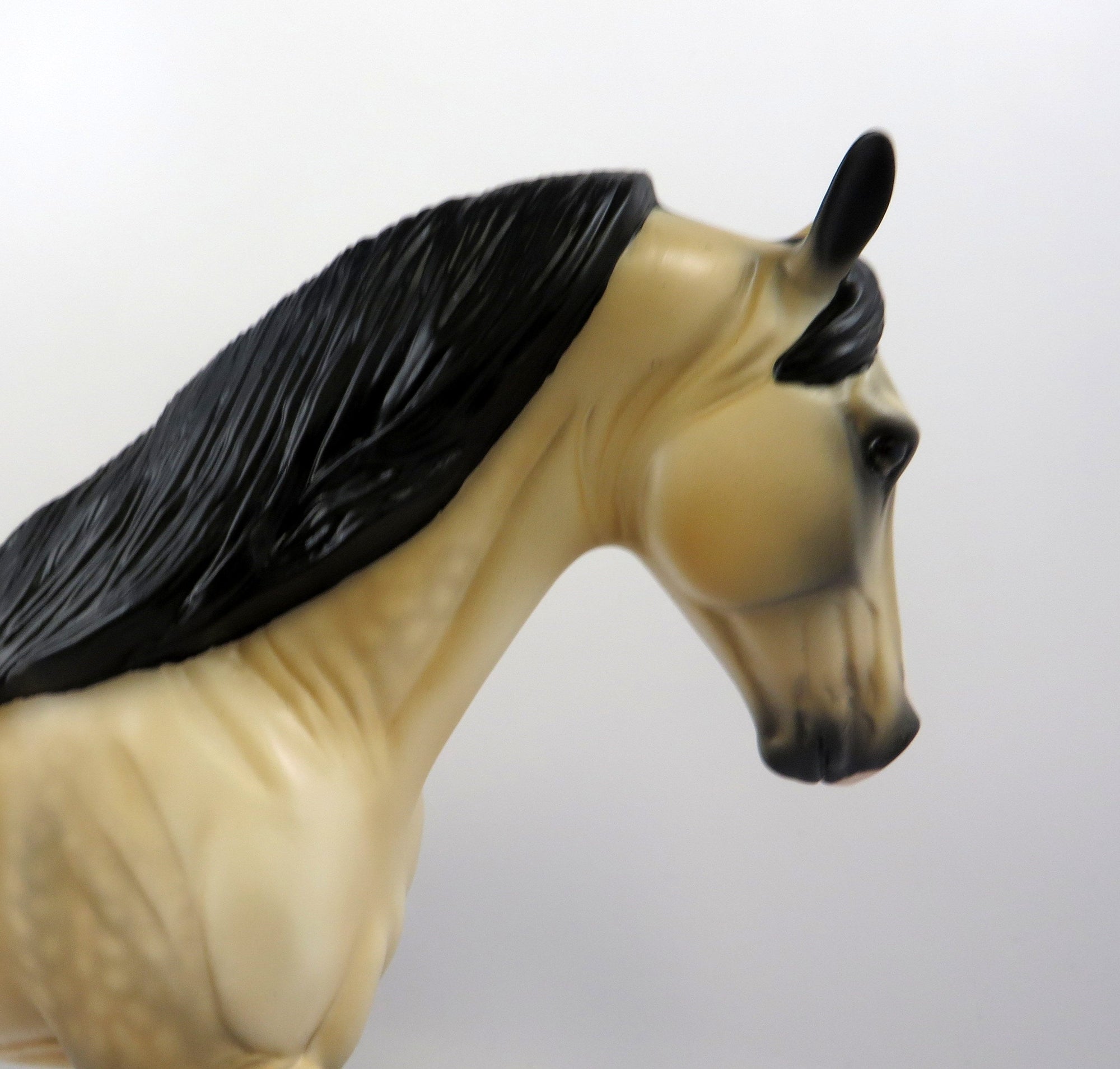 IRISH SETTER-OOAK DAPPLE BUCKSKIN TENNESSEE WALKER MODEL HORSE BY AUDREY DIXON 8/27/19