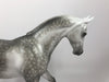 AMP IT UP-OOAK DAPPLE GREY CM TB MODEL HORSE BY SHERYL LEISURE SHCF 19