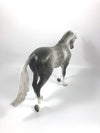 AMP IT UP-OOAK DAPPLE GREY CM TB MODEL HORSE BY SHERYL LEISURE SHCF 19