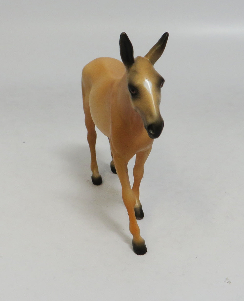 SUNSHINE-LE-6 PALOMINO MULE CHIP LHS 2018