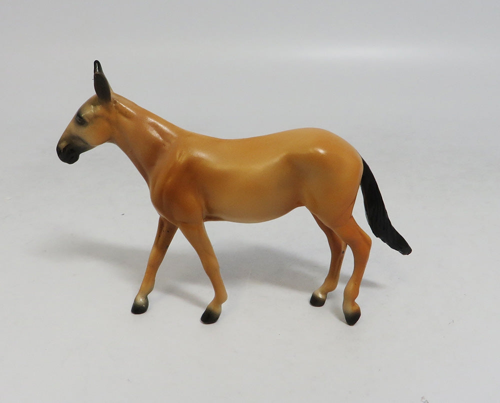 SUNSHINE-LE-6 PALOMINO MULE CHIP LHS 2018