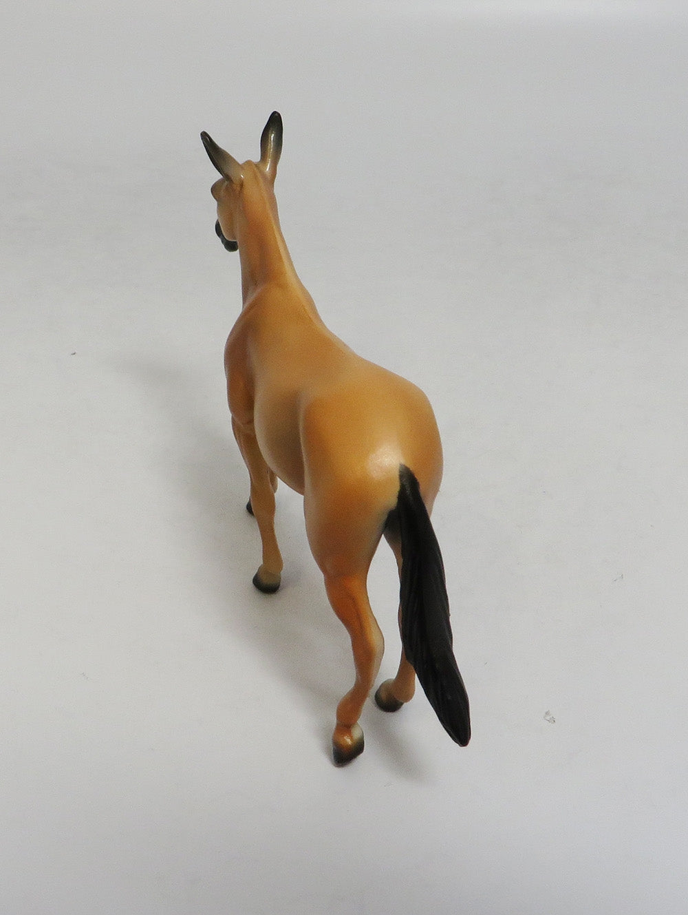 SUNSHINE-LE-6 PALOMINO MULE CHIP LHS 2018