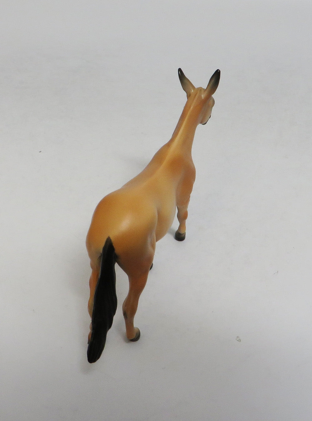 SUNSHINE-LE-6 PALOMINO MULE CHIP LHS 2018