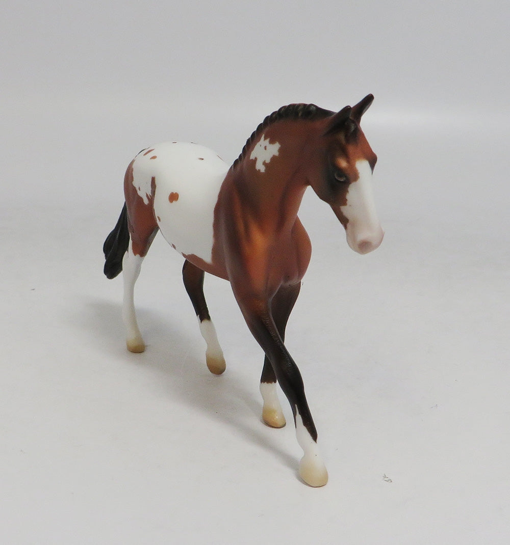 DUSTY MOON- LE6 PINTALOOSA WARMBLOOD CHIP BY AMANDA HOSTETLER LHS 2018