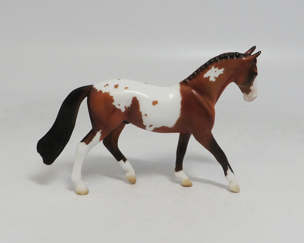 DUSTY MOON- LE6 PINTALOOSA WARMBLOOD CHIP BY AMANDA HOSTETLER LHS 2018