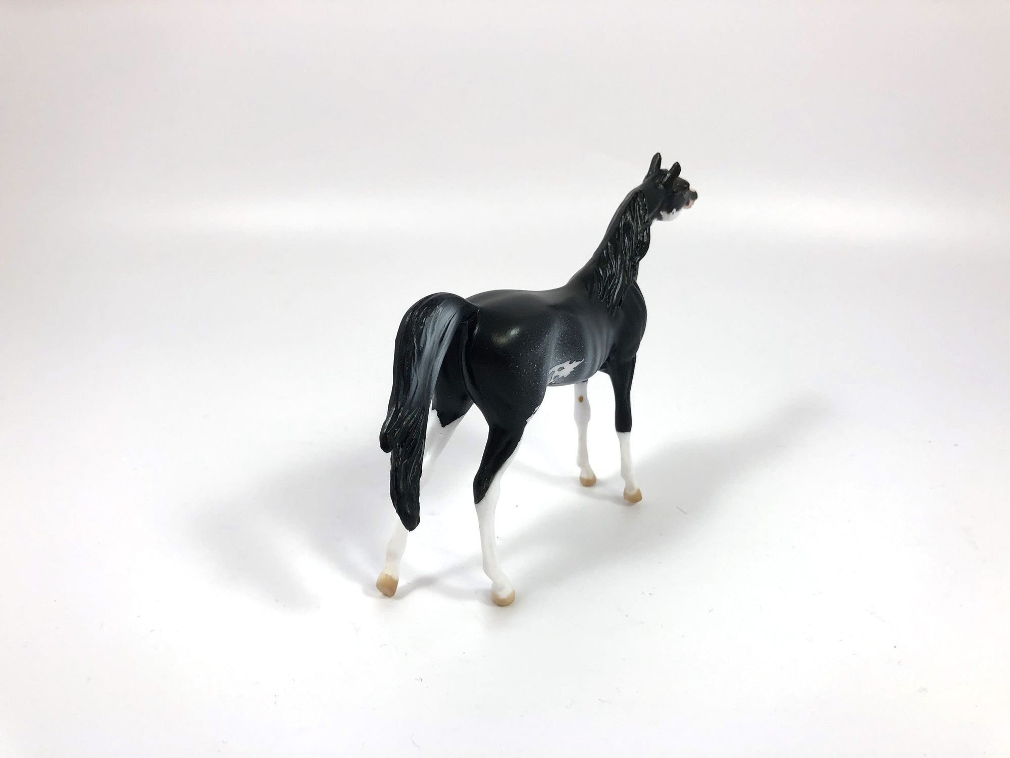 MINI ME HOUNDSTOOTH -- LE-15 --- BLACK RABICANO ARAB CHIP NC BY AUDREY DIXON 5/09/19