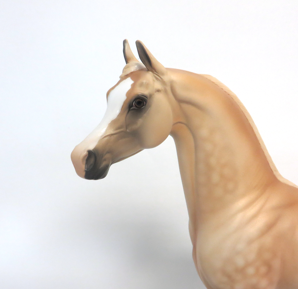 BOMBSHELL-OOAK DAPPLE PALOMINO ARABIAN MODEL HORSE MW19