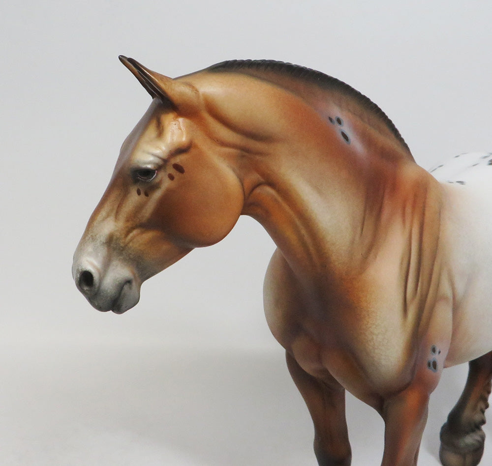 COPIOUS-OOAK BAY APPALOOSA HEAVY DRAFT MARE BY DAWN QUICK 8/3/18