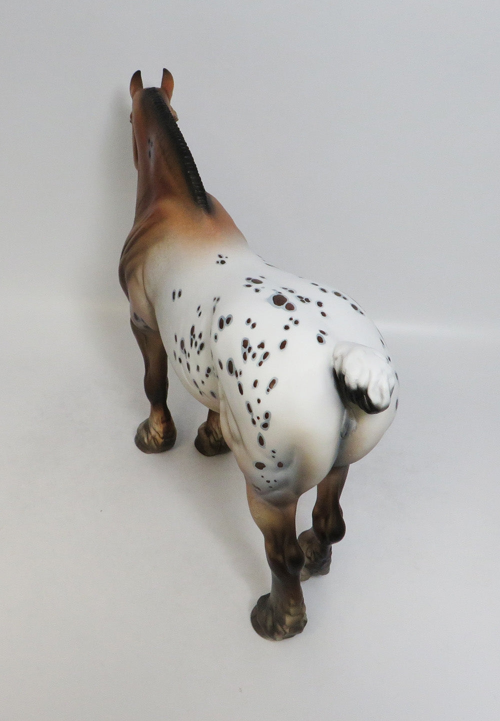 COPIOUS-OOAK BAY APPALOOSA HEAVY DRAFT MARE BY DAWN QUICK 8/3/18