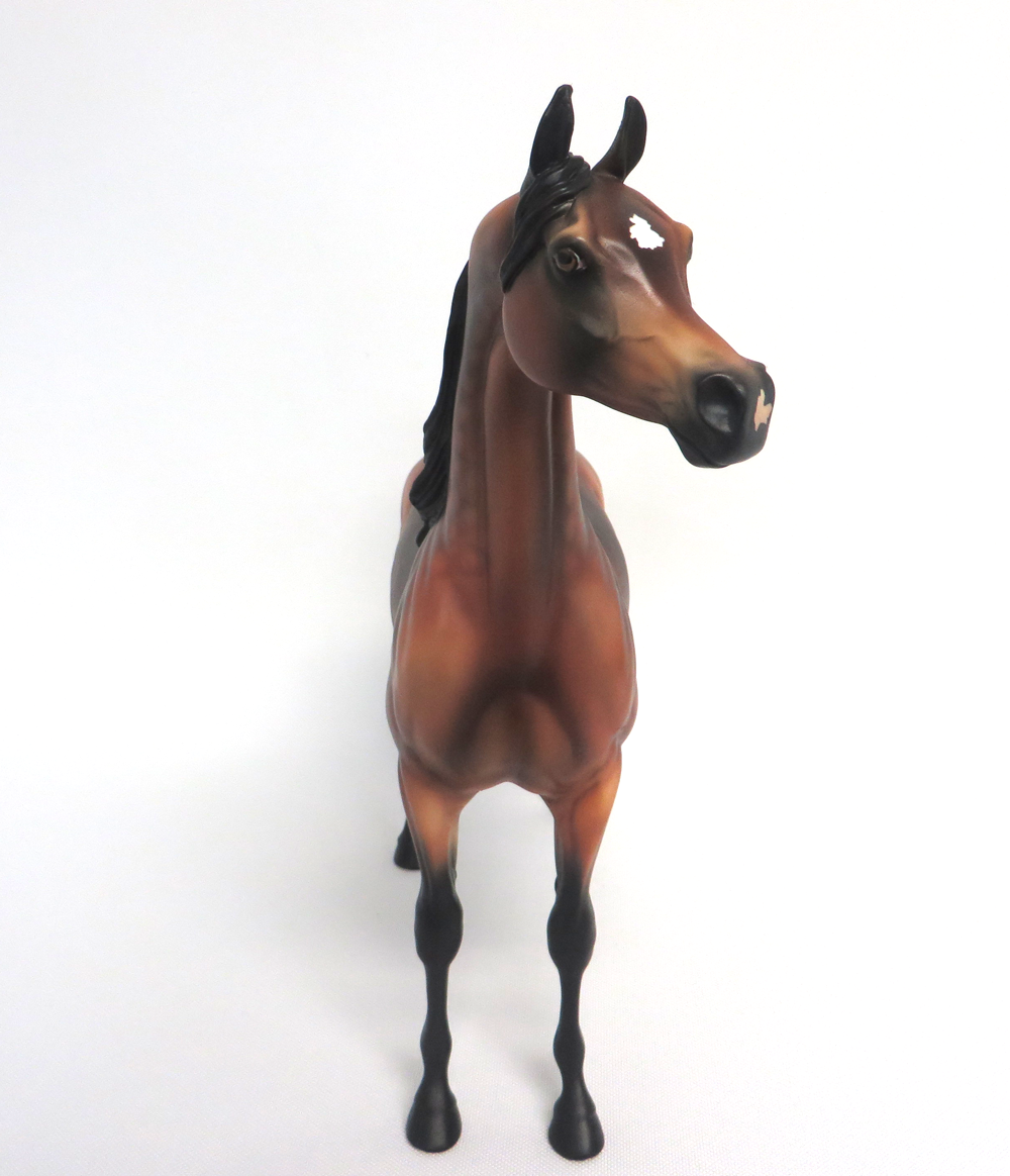 JARHAR-OOAK DAPPLE BAY ARABIAN MODEL HORSE MW 19