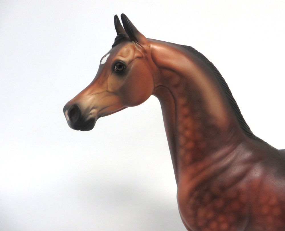 JARHAR-OOAK DAPPLE BAY ARABIAN MODEL HORSE MW 19