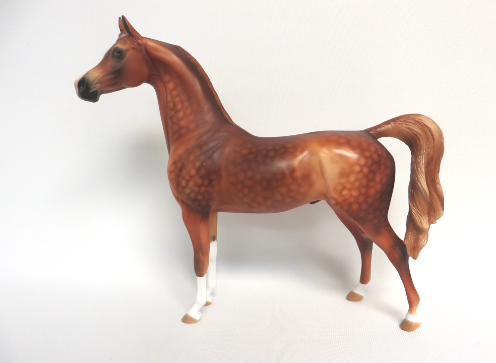 DOUBLOON-OOAK DAPPLE CHESTNUT ARABIAN MODEL HORSE EA 19
