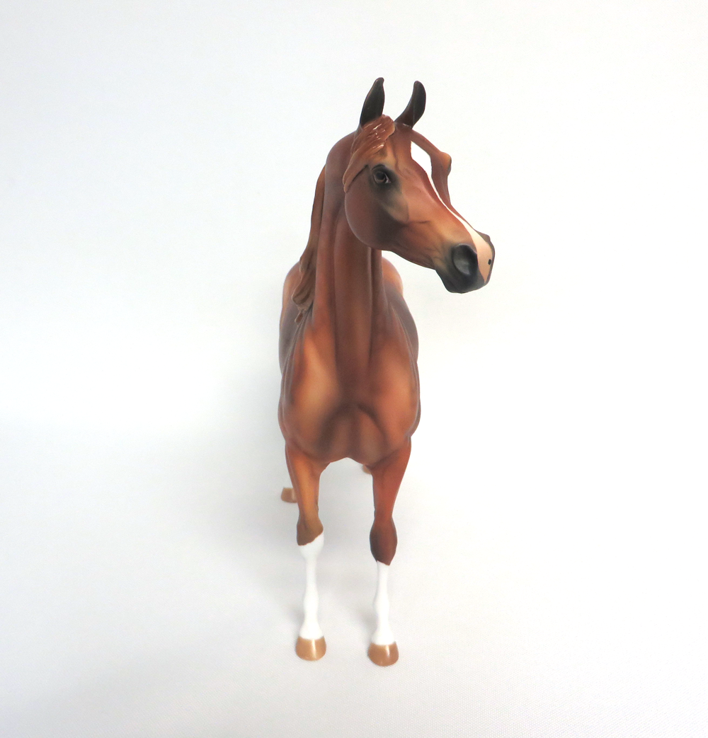 DOUBLOON-OOAK DAPPLE CHESTNUT ARABIAN MODEL HORSE EA 19