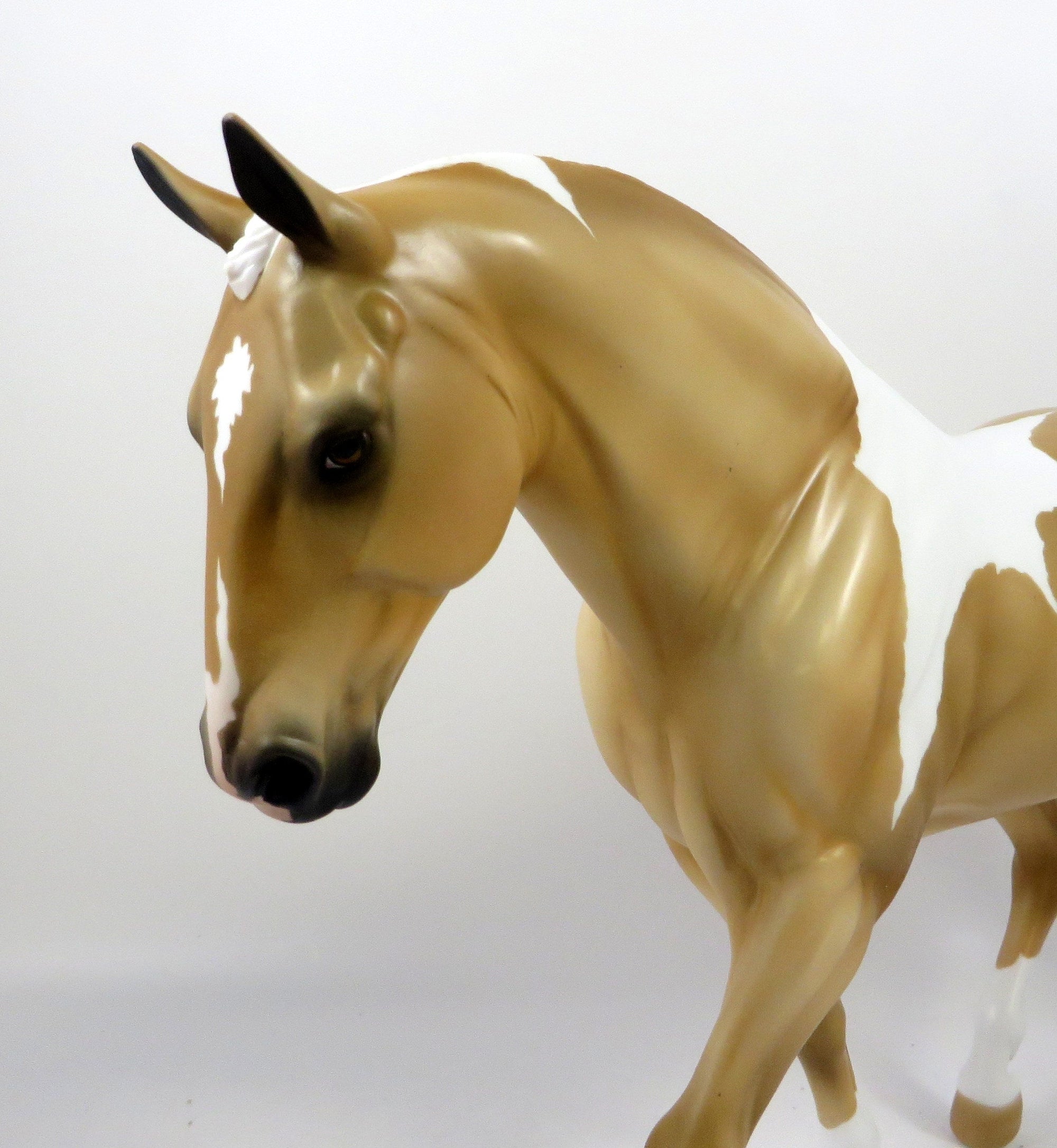 CISCO -OOAK PALOMINO PINTO IRISH DRAFT MODEL HORSE BY AUDREY DIXON 8/28/19
