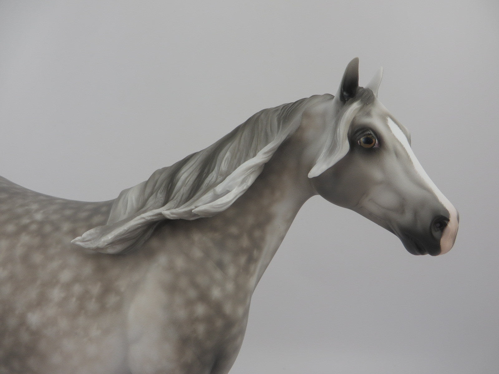 ONE WAY-OOAK Dapple Grey ISH By Sheryl Leisure