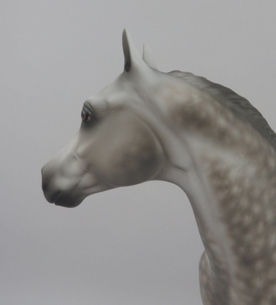 ONE WAY-OOAK Dapple Grey ISH By Sheryl Leisure