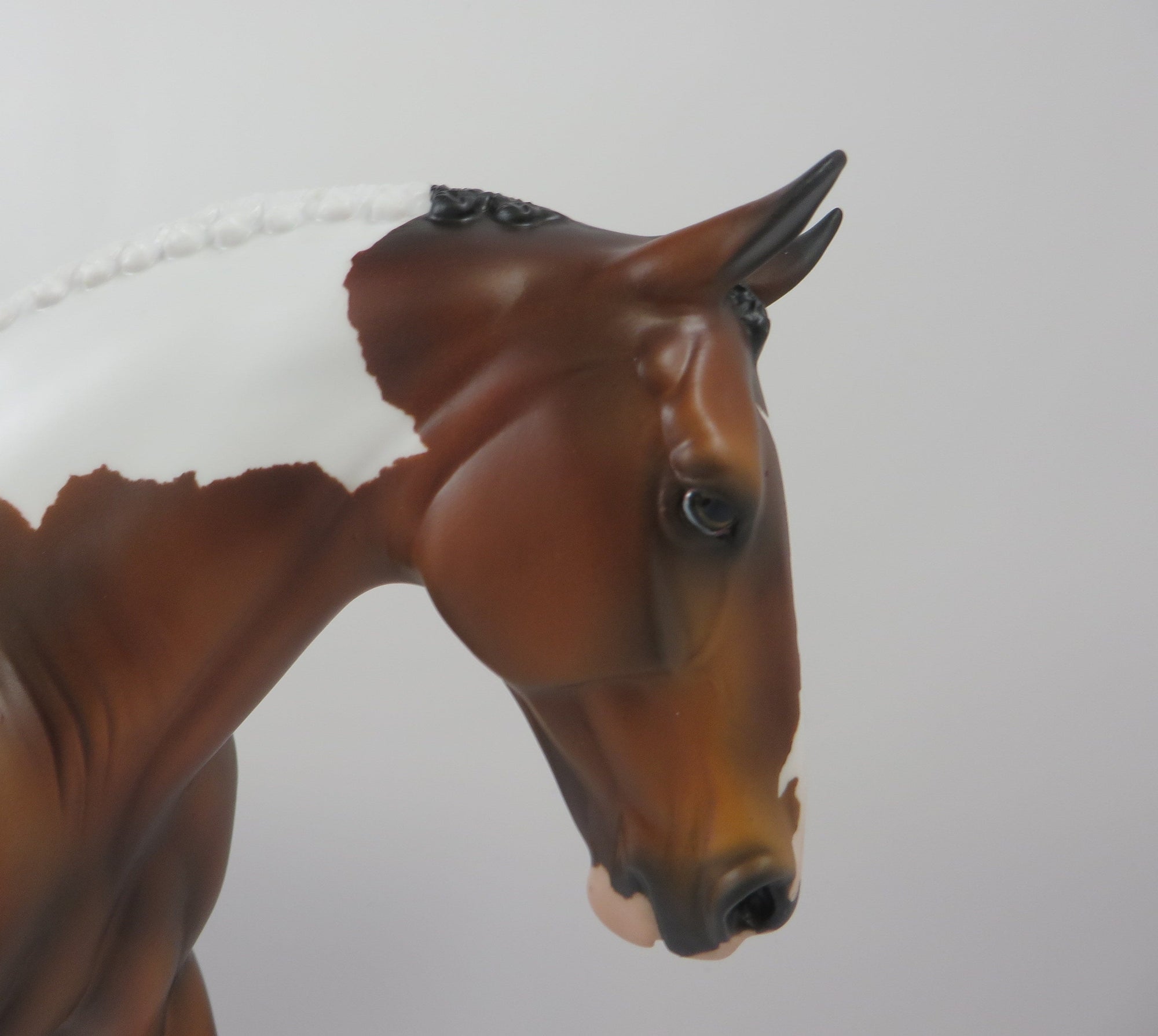 REALITY CHECK -OOAK BAY ROAN PINTALOOSA IRISH DRAFT MODEL HORSE BY AUDREY DIXON 8/28/19