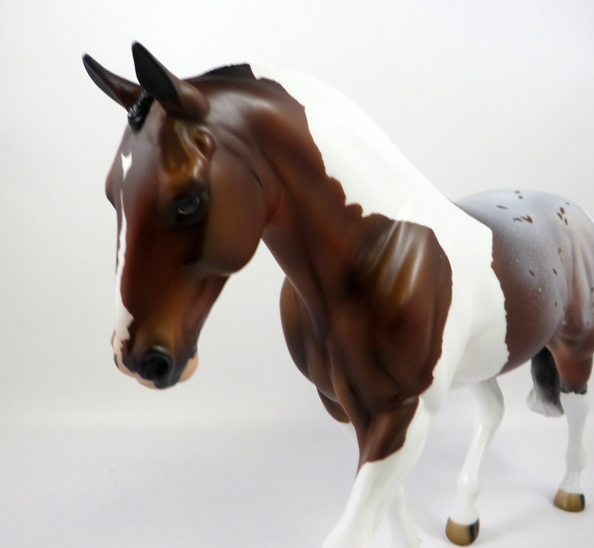 REALITY CHECK -OOAK BAY ROAN PINTALOOSA IRISH DRAFT MODEL HORSE BY AUDREY DIXON 8/28/19