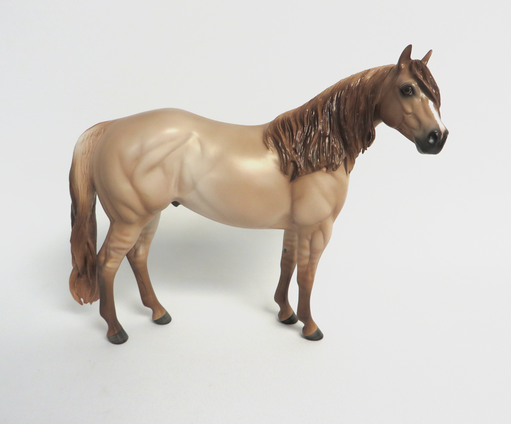 HOOKED ON ME-OOAK RED DUN ISH MODEL HORSE MW 19