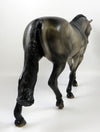 ALLEGRO -- OOAK -- SOOTY BUCKSKIN IRISH DRAFT MODEL HORSE BY MISSY FOX 8/28/19