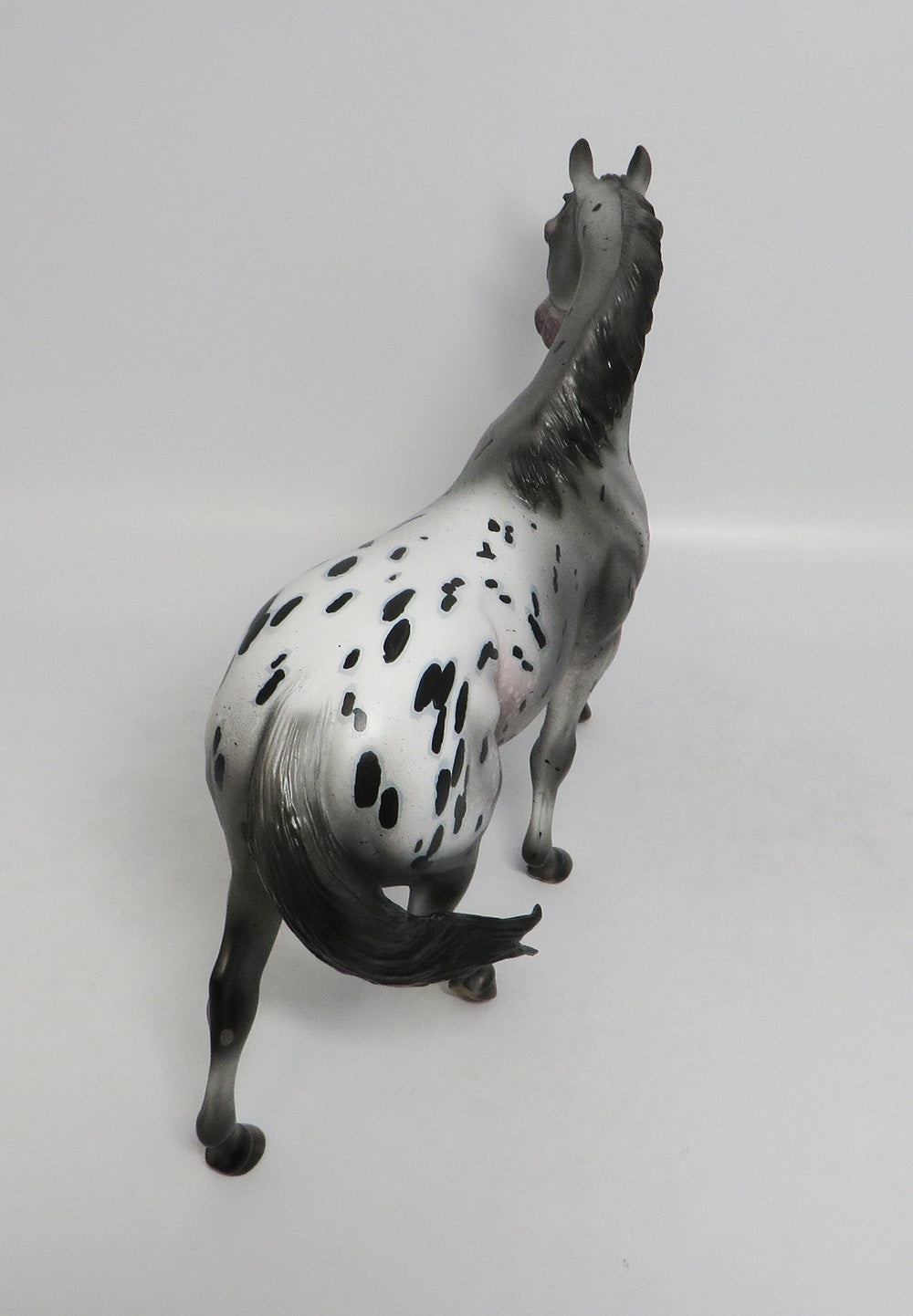 URIAH-OOAK APPALOOSA PONY MODEL HORSE 8/3/18